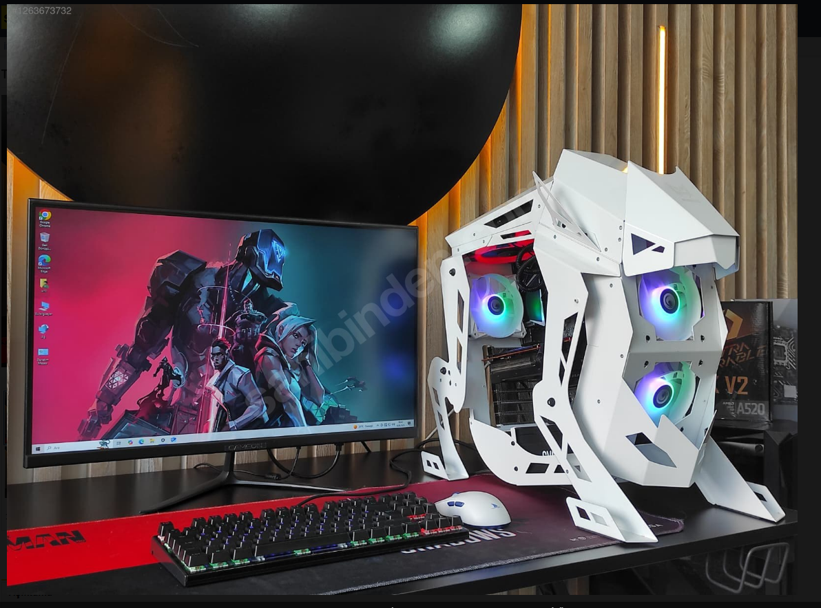 TIGER KASA/RX 6700XT 12GB/İ5 9600K/16 GB RAM/512 SSD/27" MONİTÖR